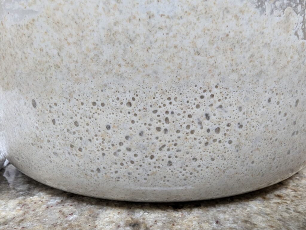 picture of sourdough starter