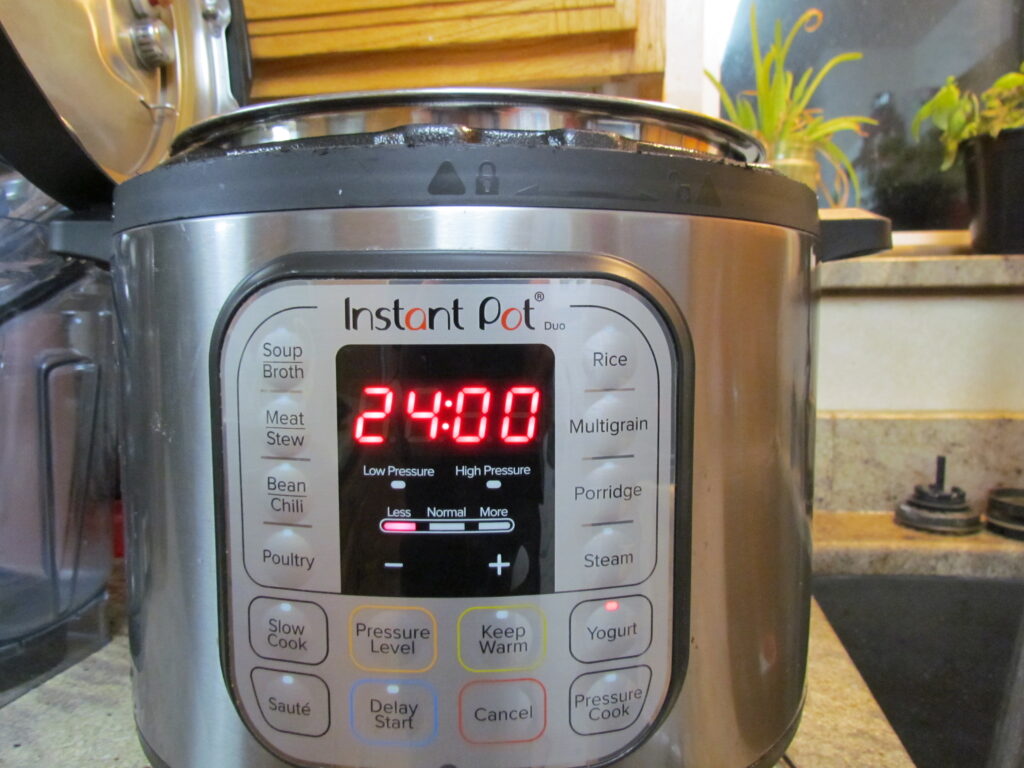 picture of an Instant pot showing 24:00 in the display pad