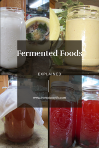 picture of ferments, yogurt, mayo, and kombucha