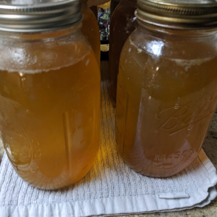 Bone Broth