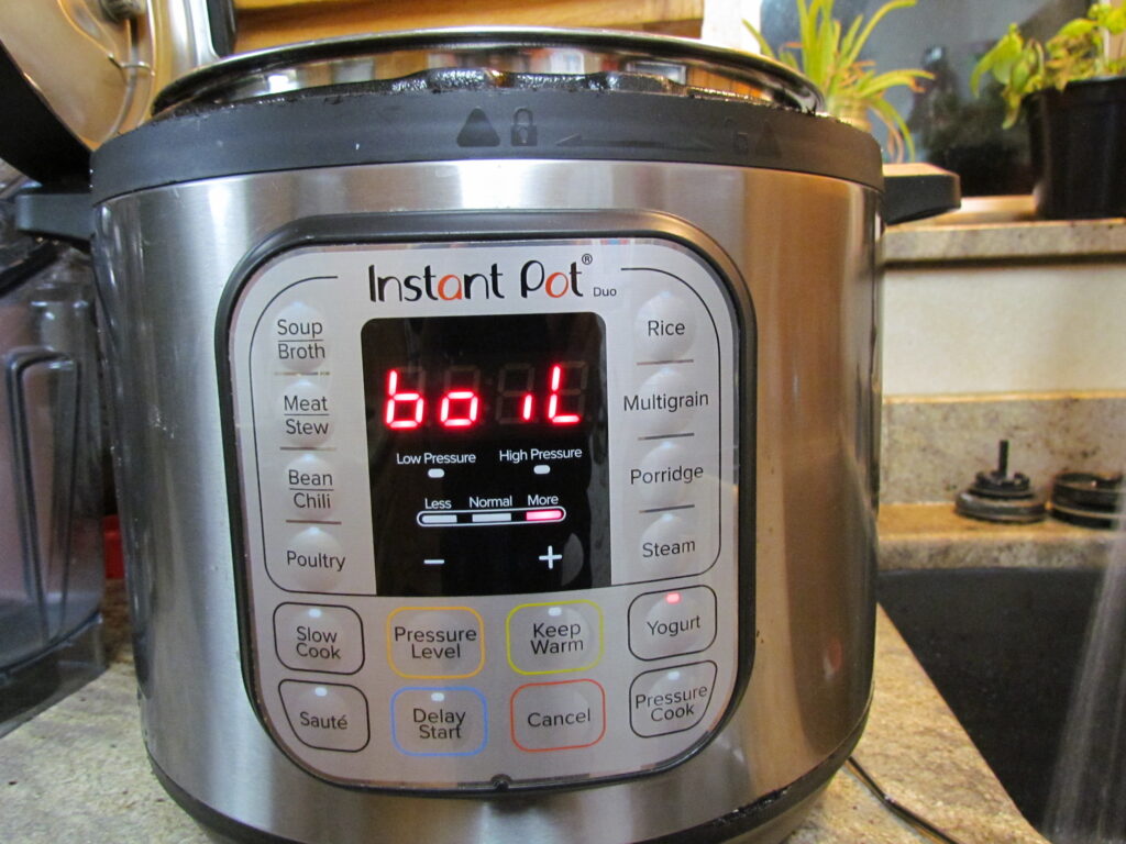 Picture of an Instant Pot showing boil on the display pad
