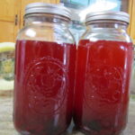 2 half gallon jars with lids containing kombucha