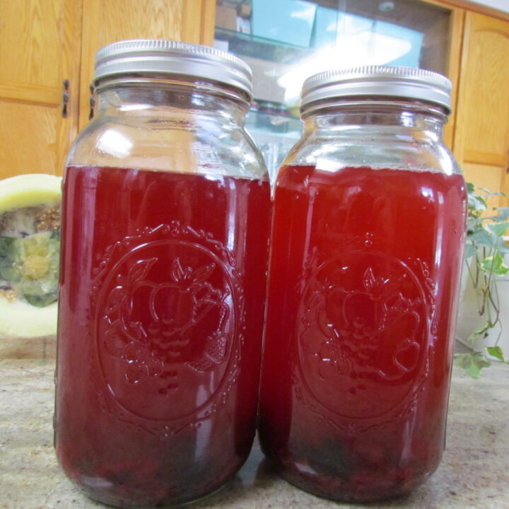 2 half gallon jars with lids filled with kombucha