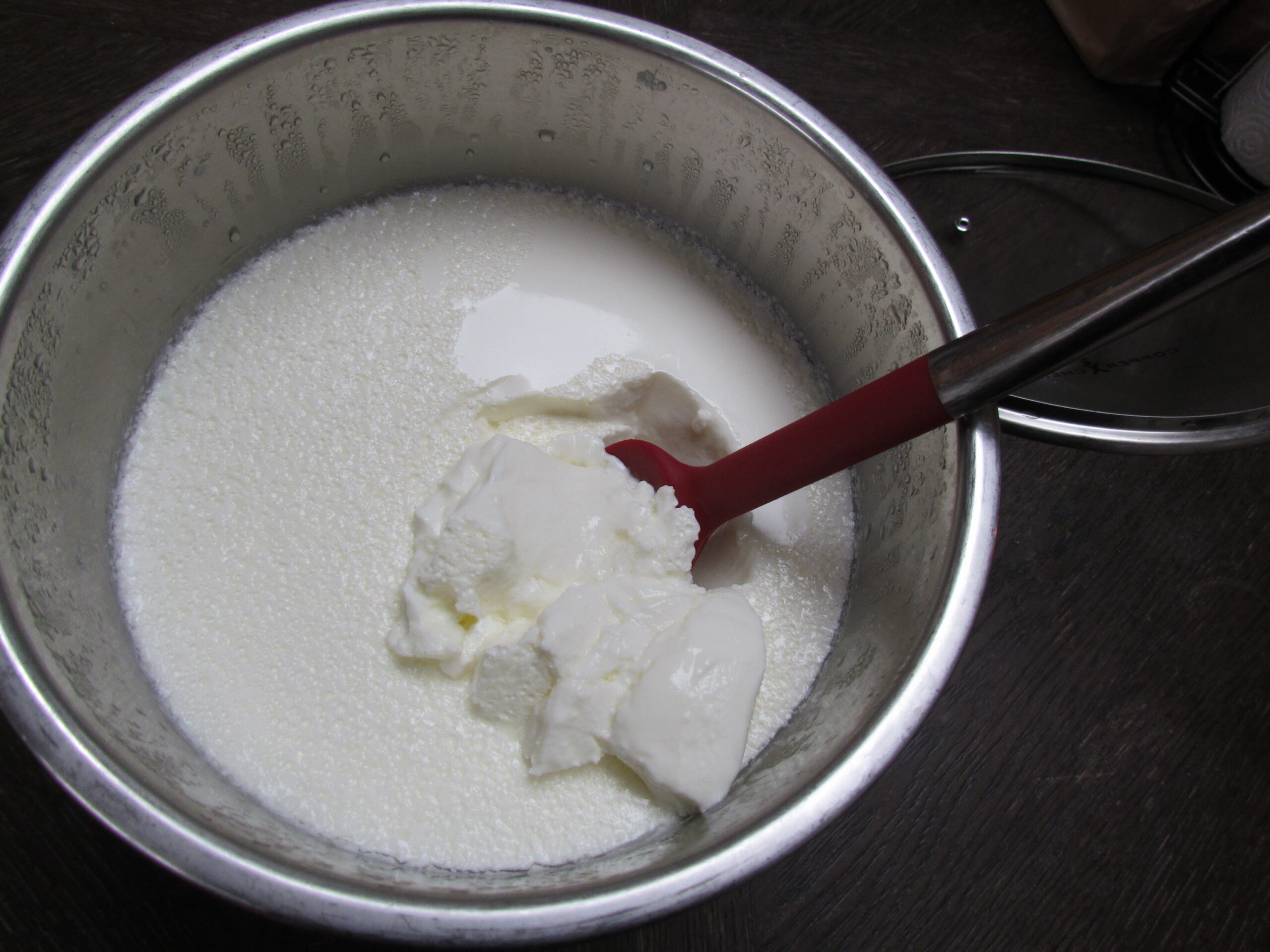 Image of finished yogurt with a spoon in the Instant Pot insert.